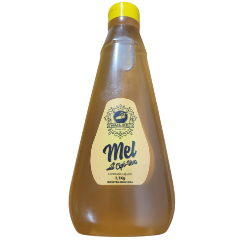 Mel de abelha Florada Silverstre